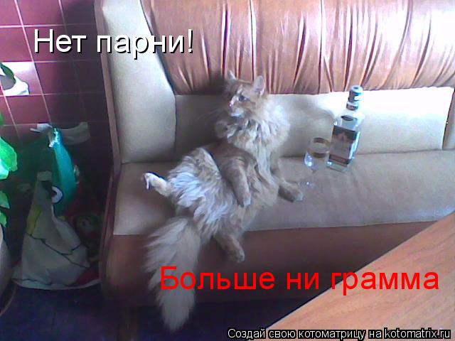 Нет парни! Больше ни грамма... Котоматрица: Нет парни! Больше ни грамма