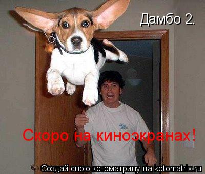 Дамбо 2. Скоро на киноэкранах!... Котоматрица: Дамбо 2. Скоро на киноэкранах!