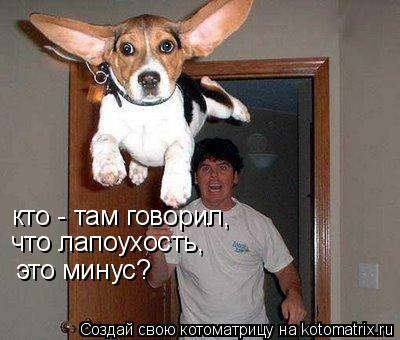 кто - там говорил, что лапоухость, это минус?... Котоматрица: кто - там говорил, что лапоухость, это минус?
