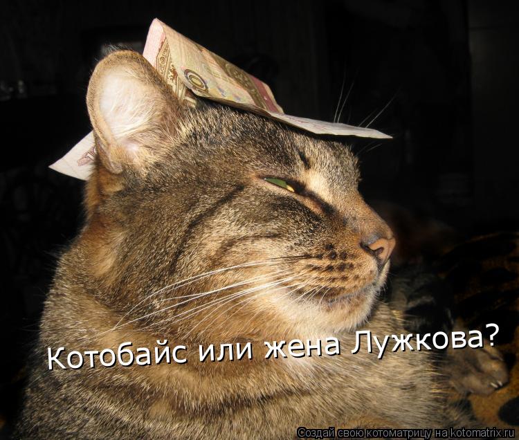 Котобайс или жена Лужкова?... Котоматрица: Котобайс или жена Лужкова?