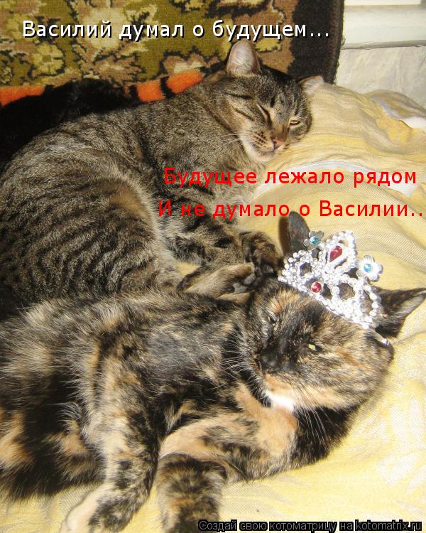 Василий думал о будущем... Будущее лежало рядом И не думало о Василии...... Котоматрица: Василий думал о будущем... Будущее лежало рядом И не думало о Василии...