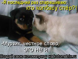 -Я последний раз спарашиваю: кто колбасу спёр?! -Мурзик, честное слово, это не я...... Котоматрица: -Я последний раз спарашиваю: кто колбасу спёр?! -Мурзик, честное слово, это не я...