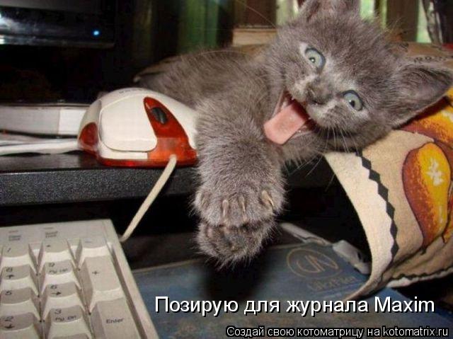 Котоматрица: Позирую для журнала Maxim