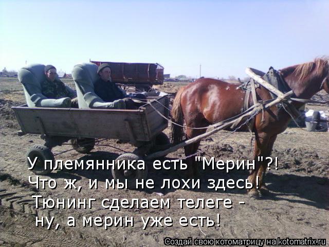 У племянника есть "Мерин"?! Что ж, и мы не лохи здесь! Тюнинг сделаем телеге - ну, а мерин уже есть!... Котоматрица: У племянника есть "Мерин"?! Что ж, и мы не лохи здесь! Тюнинг сделаем телеге - ну, а мерин уже есть!