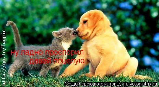 Котоматрица: ну ладно проспорил  давай поцелую