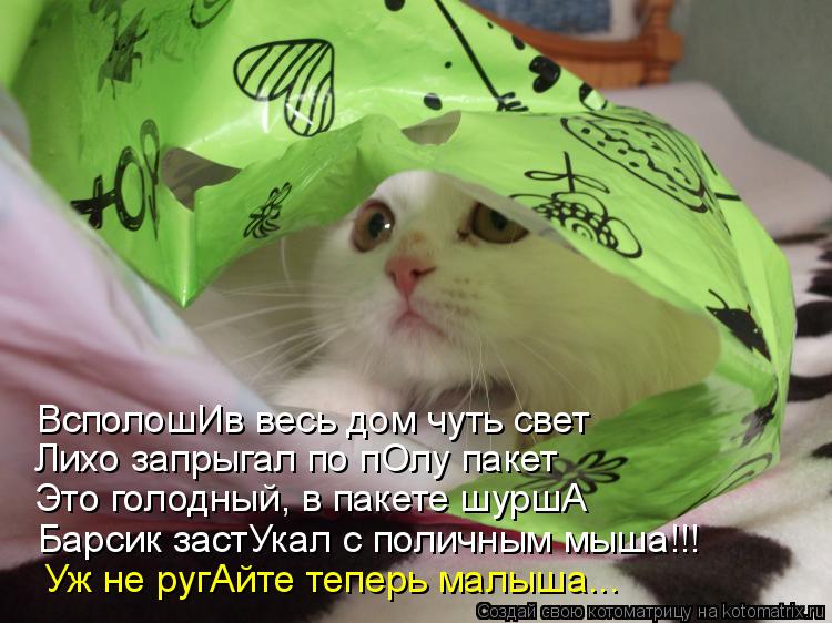 ВсполошИв весь дом чуть свет Лихо запрыгал по пОлу пакет Это голодный, в пакете шуршА Барсик застУкал... Котоматрица: ВсполошИв весь дом чуть свет Лихо запрыгал по пОлу пакет Это голодный, в пакете шуршА Барсик застУкал с поличным мыша!!! Уж не ругАйте теперь