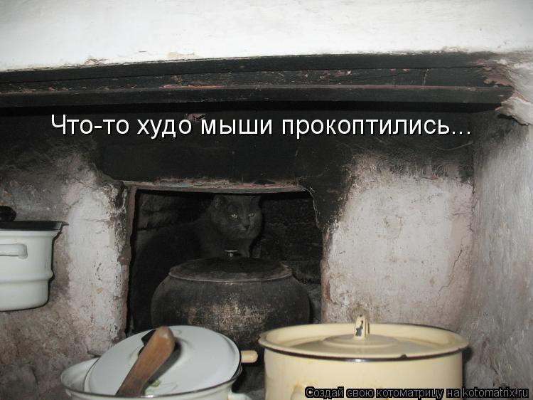 Котоматрица: Что-то худо мыши прокоптились...