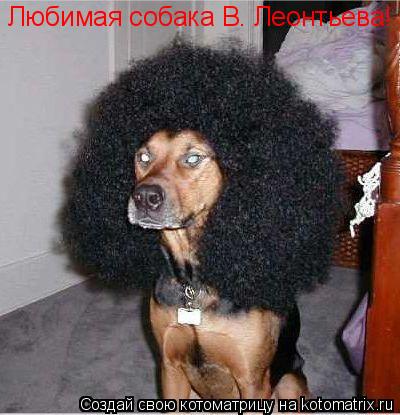 Котоматрица: Любимая собака В. Леонтьева!
