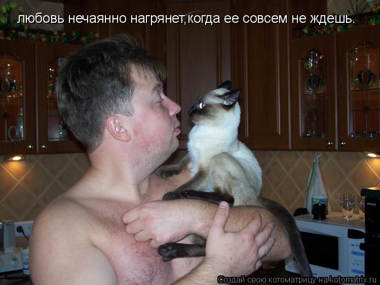 любовь нечаянно нагрянет,когда ее совсем не ждешь.... Котоматрица: любовь нечаянно нагрянет,когда ее совсем не ждешь.