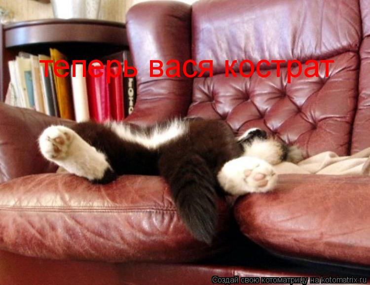 теперь вася кострат... Котоматрица: теперь вася кострат