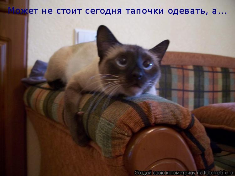 Может не стоит сегодня тапочки одевать, а...... Котоматрица: Может не стоит сегодня тапочки одевать, а...