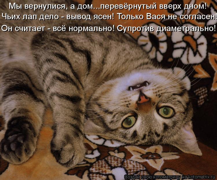 Котоматрица: Чьих лап дело - вывод ясен! Только Вася не согласен! Он считает - всё нормально! Супротив диаметрально! Мы вернулися, а дом...перевёрнутый ввер