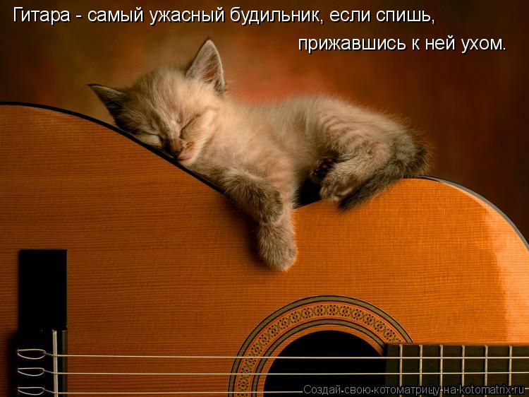 Гитара - самый ужасный будильник, если спишь, прижавшись к ней ухом.... Котоматрица: Гитара - самый ужасный будильник, если спишь, прижавшись к ней ухом.