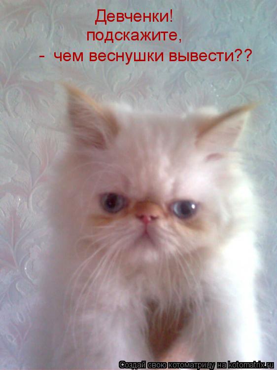 Девченки! подскажите, - чем веснушки вывести??... Котоматрица: Девченки! подскажите, - чем веснушки вывести??
