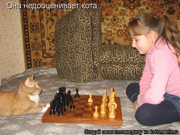 Она недооценивает кота...... Котоматрица: Она недооценивает кота...