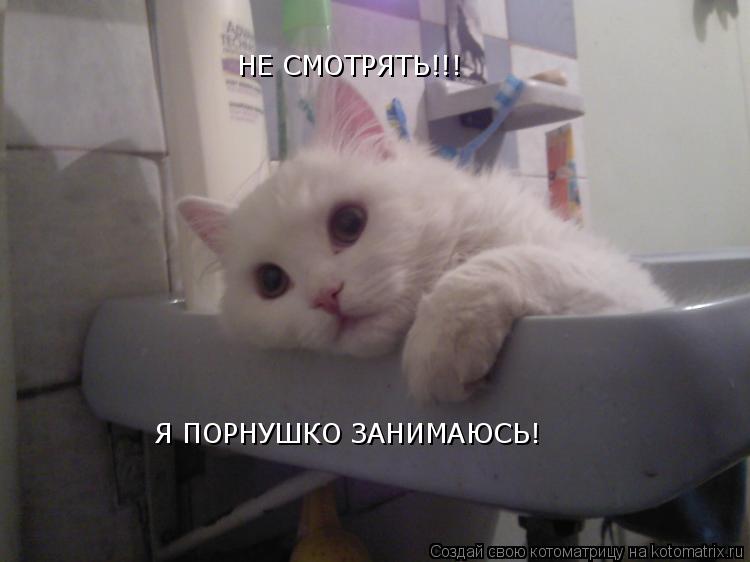 НЕ СМОТРЯТЬ!!! НЕ СМОТРЯТЬ!!! Я ПОРНУШКО ЗАНИМАЮСЬ!... Котоматрица: НЕ СМОТРЯТЬ!!! НЕ СМОТРЯТЬ!!! Я ПОРНУШКО ЗАНИМАЮСЬ!