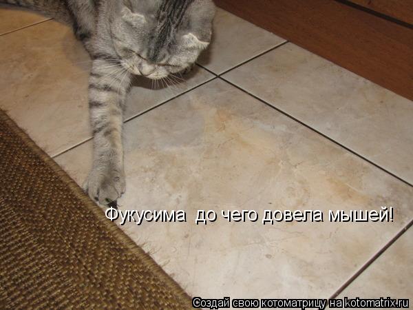 Фукусима до чего довела мышей!... Котоматрица: Фукусима до чего довела мышей!