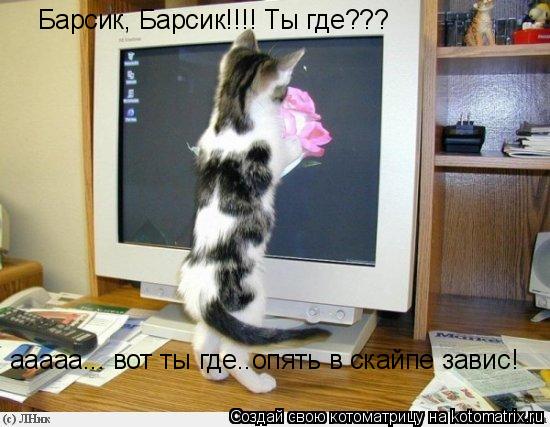Барсик, Барсик!!!! Ты где??? ааааа... вот ты где..опять в скайпе завис!... Котоматрица: Барсик, Барсик!!!! Ты где??? ааааа... вот ты где..опять в скайпе завис!