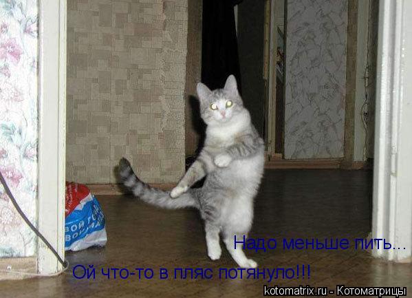 Ой что-то в пляс потянуло!!! Надо меньше пить...... Котоматрица: Ой что-то в пляс потянуло!!! Надо меньше пить...