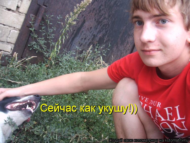 Сейчас как укушу!))... Котоматрица: Сейчас как укушу!))