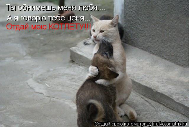 Котоматрица: Ты обнимешь меня любя.... А я говорю тебе ценя... Отдай мою КОТЛЕТУ!!!