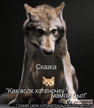 Котоматрица: "Как волк котёночку  мамой был" Сказка