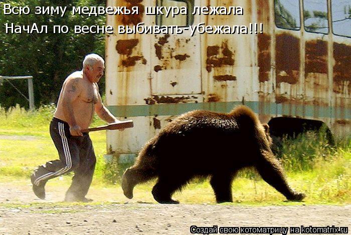 Всю зиму медвежья шкура лежала НачАл по весне выбивать-убежала!!!... Котоматрица: Всю зиму медвежья шкура лежала НачАл по весне выбивать-убежала!!!