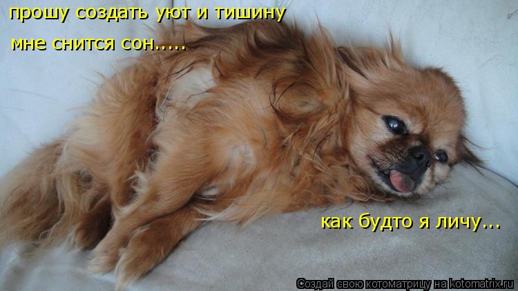 Котоматрица: прошу создать уют и тишину мне снится сон..... как будто я личу...