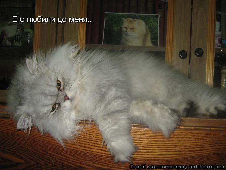 Котоматрица: Его любили до меня...