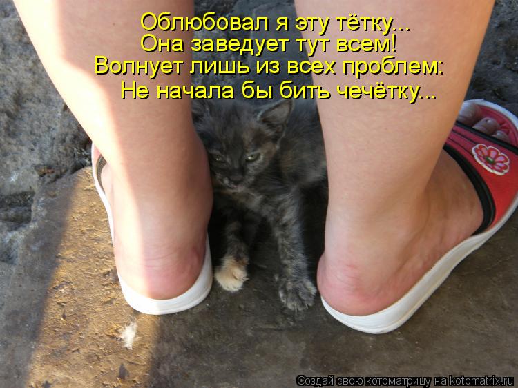 Котоматрица: Волнует лишь из всех проблем: Она заведует тут всем! Не начала бы бить чечётку... Облюбовал я эту тётку...