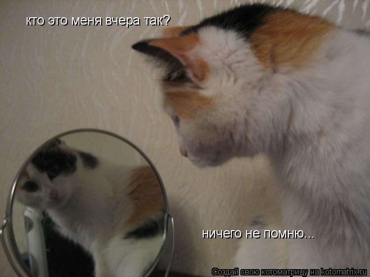 Котоматрица: кто это меня вчера так? ничего не помню...