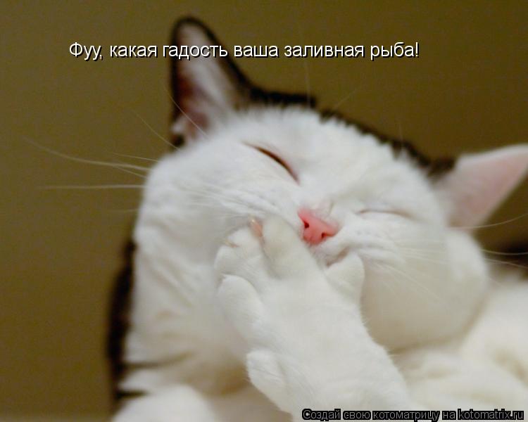 Котоматрица: Фуу, какая гадость ваша заливная рыба!