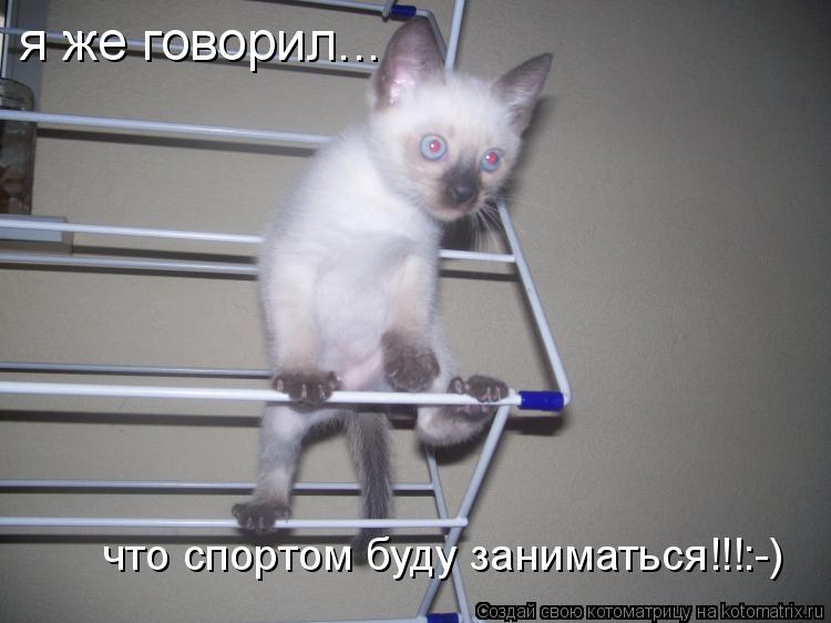 я же говорил... что спортом буду заниматься!!!:-)... Котоматрица: я же говорил... что спортом буду заниматься!!!:-)