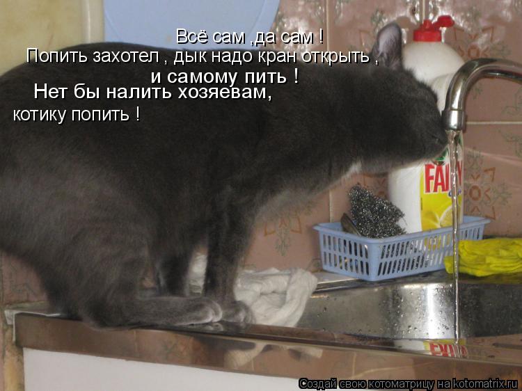 Всё сам ,да сам ! Попить захотел , дык надо кран открыть , и самому пить ! Нет бы налить хозяевам, ... Котоматрица: Всё сам ,да сам ! Попить захотел , дык надо кран открыть , и самому пить ! Нет бы налить хозяевам, котику попить !