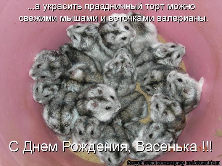 ...а украсить праздничный торт можно свежими мышами и веточками валерианы. С Днем Рождения, Васенька ... Котоматрица: ...а украсить праздничный торт можно свежими мышами и веточками валерианы. С Днем Рождения, Васенька !!!