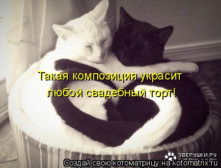 Котоматрица: Такая композиция украсит  любой свадебный торт!