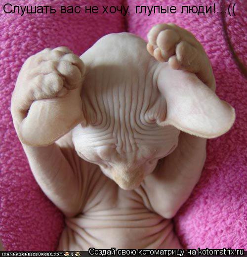 Слушать вас не хочу, глупые люди!...((... Котоматрица: Слушать вас не хочу, глупые люди!...((