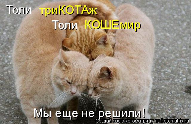 Толи триКОТАж Толи КОШЕмир Мы еще не решили!... Котоматрица: Толи триКОТАж Толи КОШЕмир Мы еще не решили!