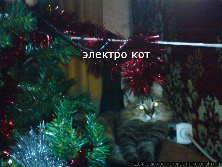 электро кот... Котоматрица: электро кот