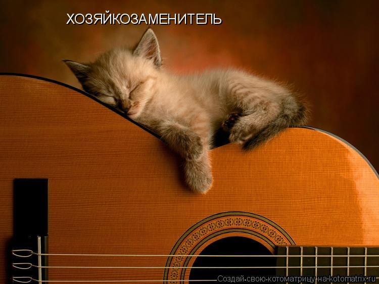 ХОЗЯЙКОЗАМЕНИТЕЛЬ... Котоматрица: ХОЗЯЙКОЗАМЕНИТЕЛЬ