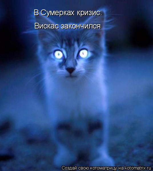 В Сумерках кризис: Вискас закончился... Котоматрица: В Сумерках кризис: Вискас закончился