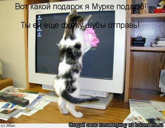 Вот какой подарок я Мурке подарю! Ты ей еще фотку шубы отправь!... Котоматрица: Вот какой подарок я Мурке подарю! Ты ей еще фотку шубы отправь!
