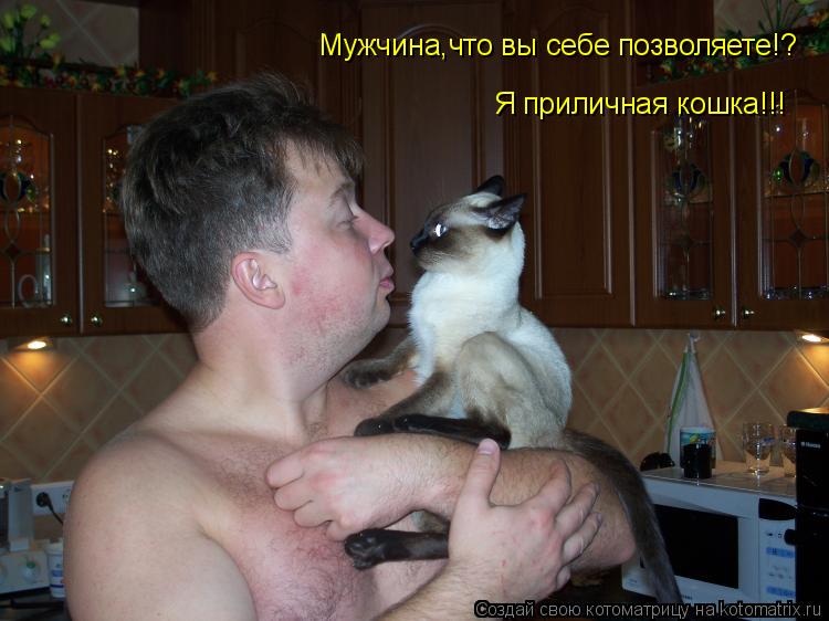 Мужчина,что вы себе позволяете!? Я приличная кошка!!!... Котоматрица: Мужчина,что вы себе позволяете!? Я приличная кошка!!!