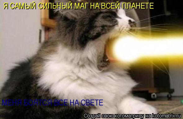 Я САМЫЙ СИЛЬНЫЙ МАГ НА ВСЕЙ ПЛАНЕТЕ МЕНЯ БОЯТСЯ ВСЕ НА СВЕТЕ... Котоматрица: Я САМЫЙ СИЛЬНЫЙ МАГ НА ВСЕЙ ПЛАНЕТЕ МЕНЯ БОЯТСЯ ВСЕ НА СВЕТЕ