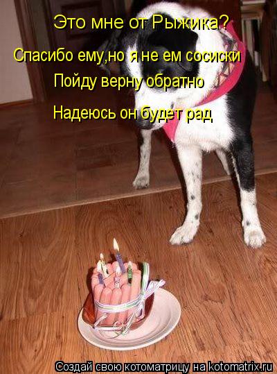 Это мне от Рыжика? Спасибо ему,но я не ем сосиски Пойду верну обратно Надеюсь он будет рад... Котоматрица: Это мне от Рыжика? Спасибо ему,но я не ем сосиски Пойду верну обратно Надеюсь он будет рад