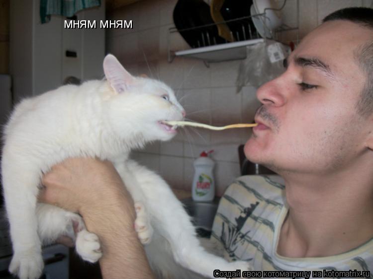 мням мням... Котоматрица: мням мням