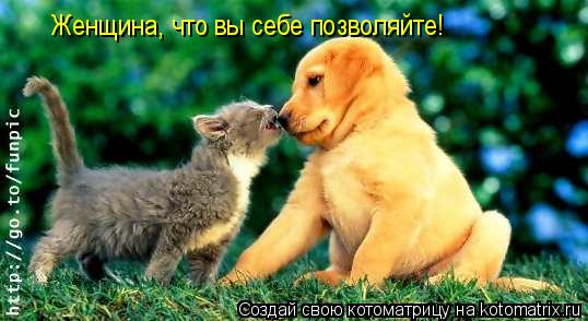 Женщина, что вы себе позволяйте!... Котоматрица: Женщина, что вы себе позволяйте!
