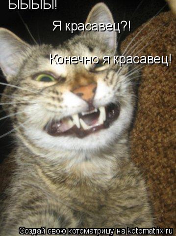 ЫЫЫЫ! Я красавец?! Конечно я красавец!... Котоматрица: ЫЫЫЫ! Я красавец?! Конечно я красавец!