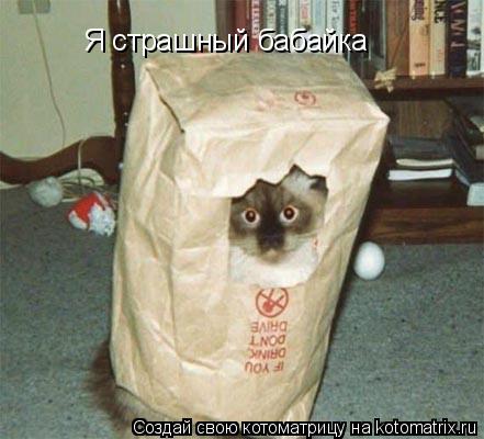 Я страшный бабайка... Котоматрица: Я страшный бабайка
