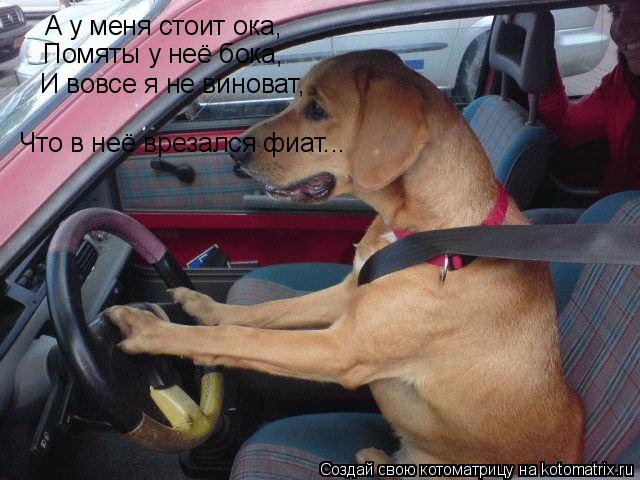 А у меня стоит ока, Помяты у неё бока, И вовсе я не виноват, Что в неё врезался фиат...... Котоматрица: А у меня стоит ока, Помяты у неё бока, И вовсе я не виноват, Что в неё врезался фиат...